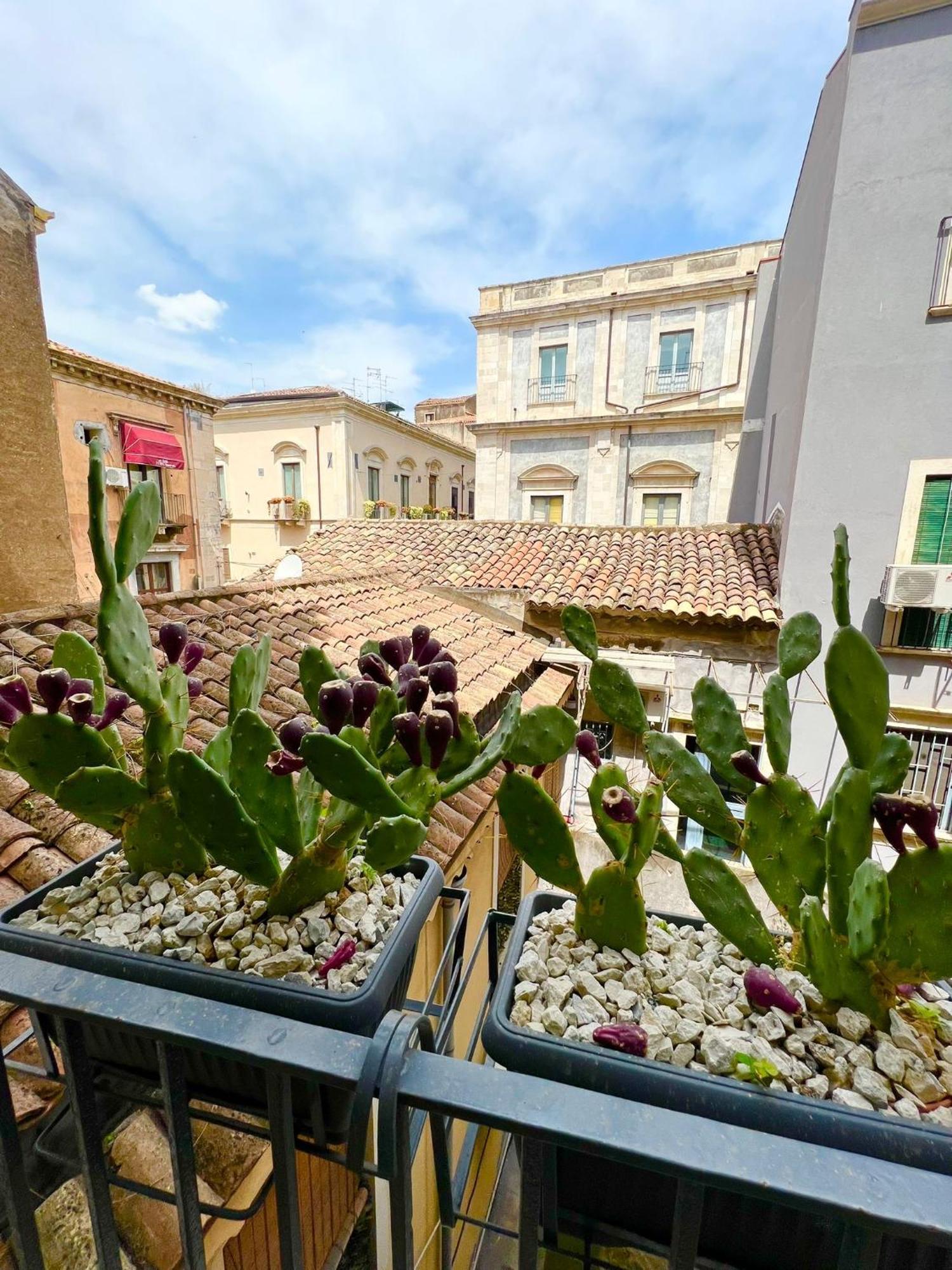 Erasmo 19 Luxury Home Catánia Buitenkant foto